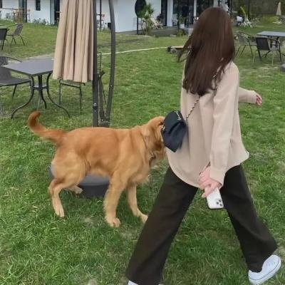 超级大坏蛋短片:毁灭按钮